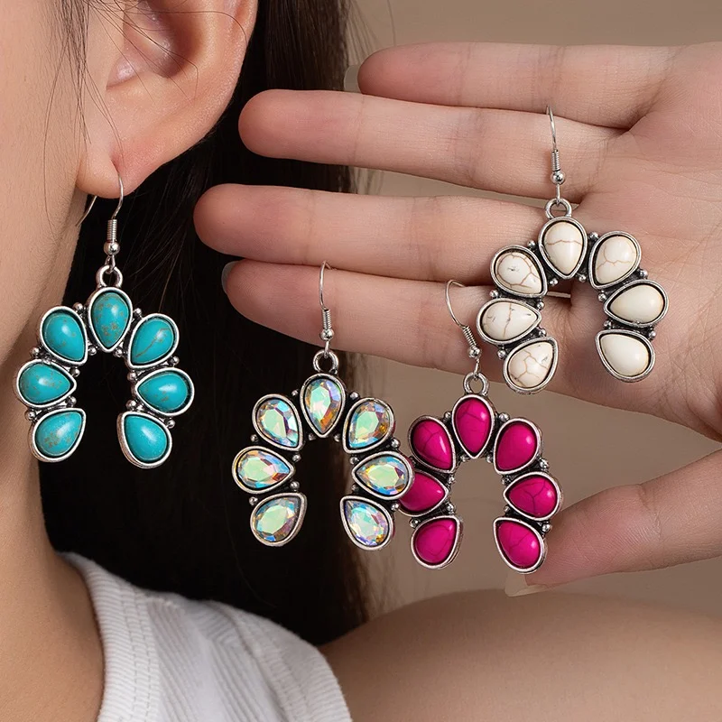 Western earrings small horse shoes fish hook style